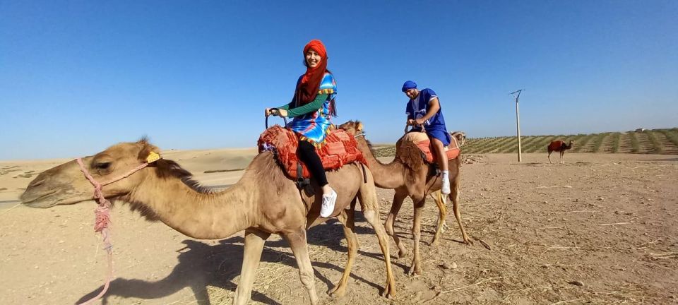 From Marrakesh: Agafay Desert Sunset and Camel Ride - Highlights of the Activity