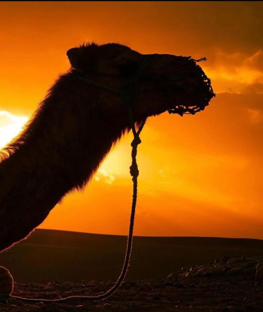 From Marrakesh: Agafay Desert Sunset, Camel Ride, and Dinner - Experience Highlights