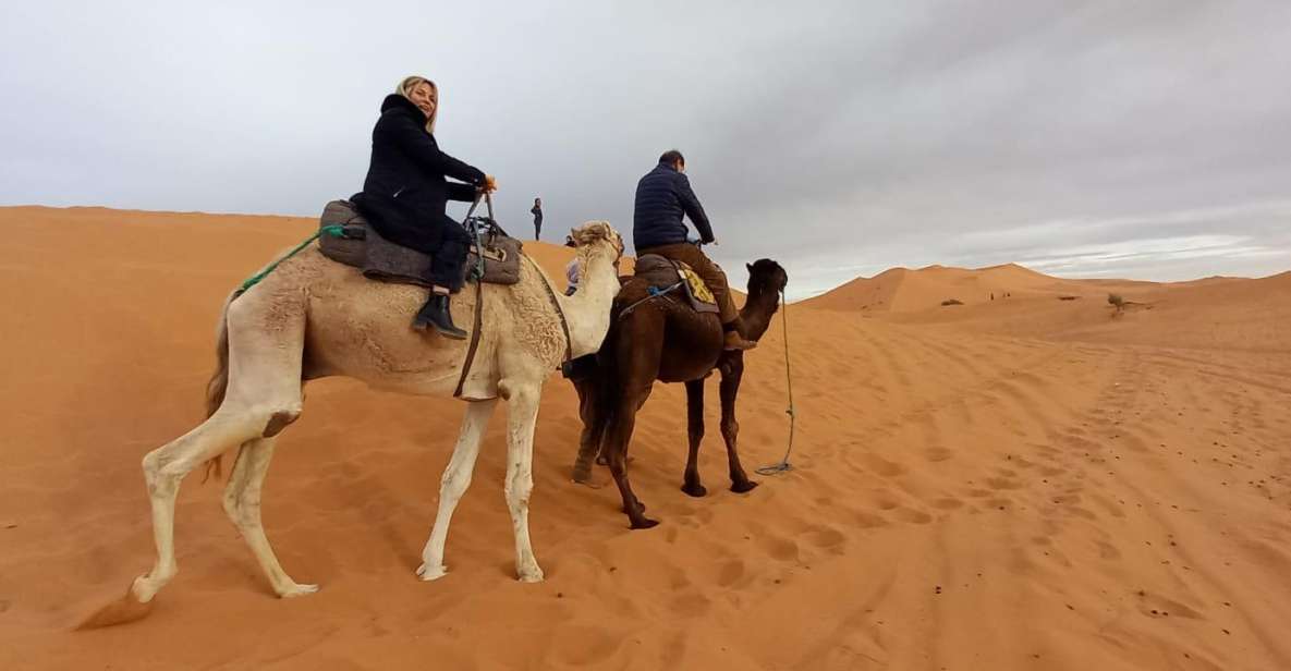 From Marrakesh: Merzouga 3-Day Desert Safari - Experience Highlights