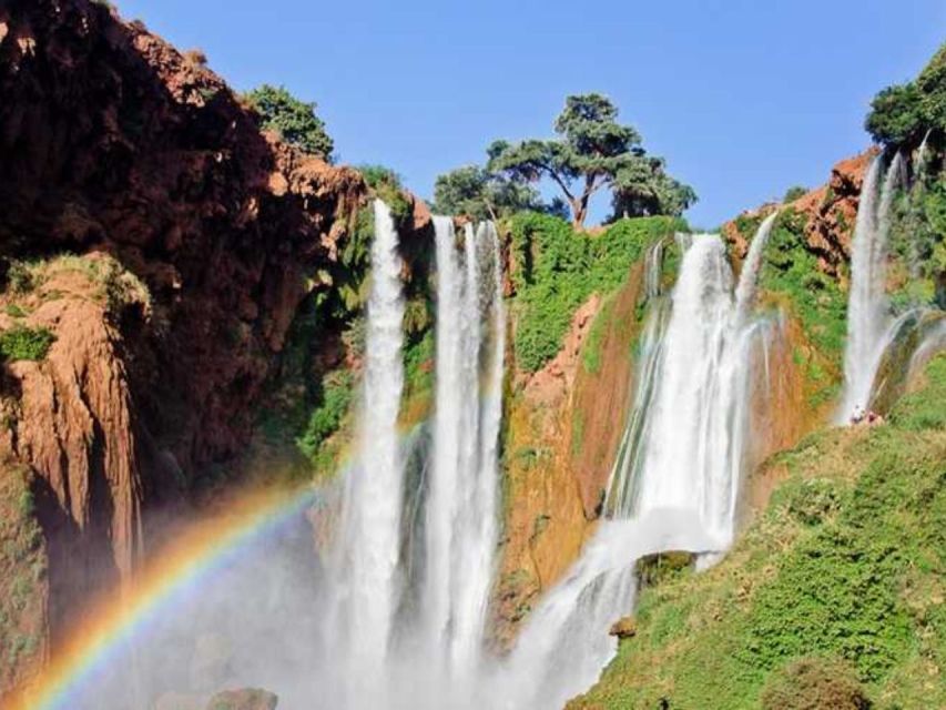 From Marrakesh: Ouzoud Waterfalls Day Trip and Boat Ride - Activity Highlights