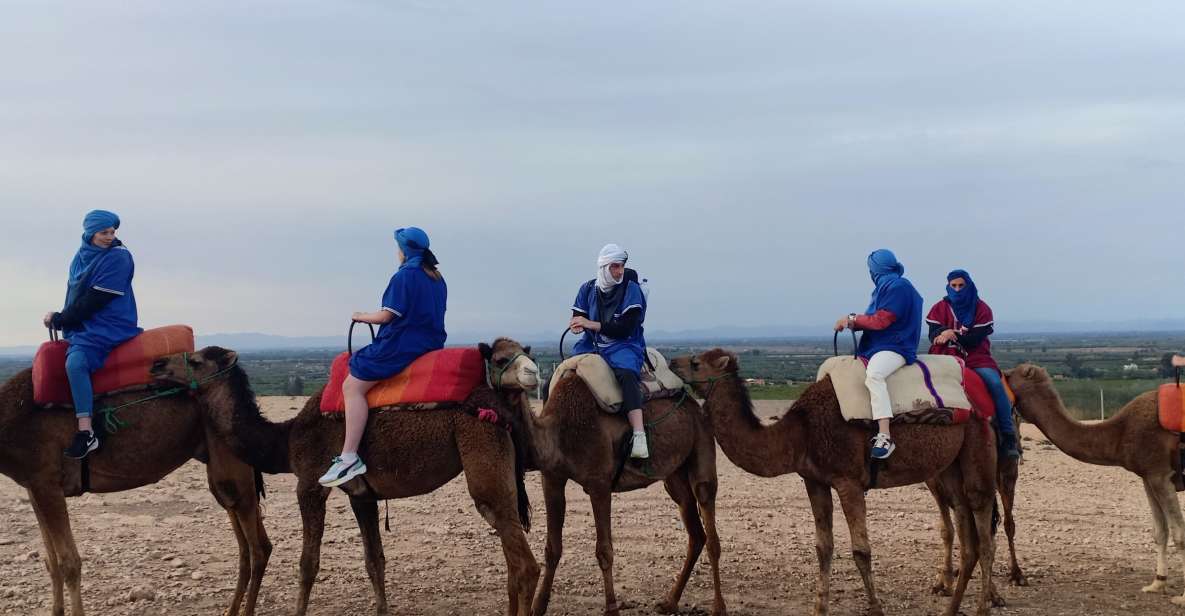 From Marrakesh: Sunset Camel Ride in the Agafay Desert - Highlights of the Sunset Camel Ride