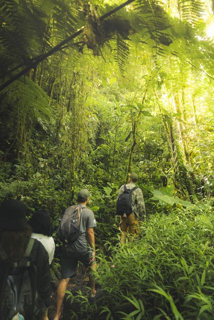 From Medellin: Guided Hiking Tour in Nature - Experience Highlights