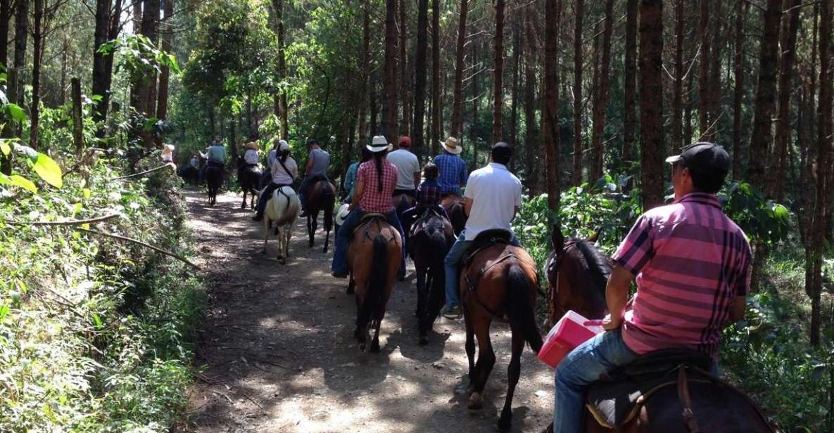 From Medellin: Guided Horseback Riding Tour in Nature - Experience of Horse Ride Near Medellin