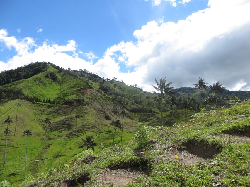 From Medellín: Jericó and Salamina 2-Day Coffee Tour - Experience