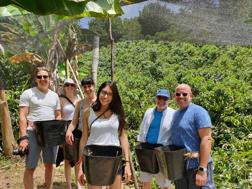 From Medellin: Private Envigado Coffee Tour With Tastings - Experience Highlights