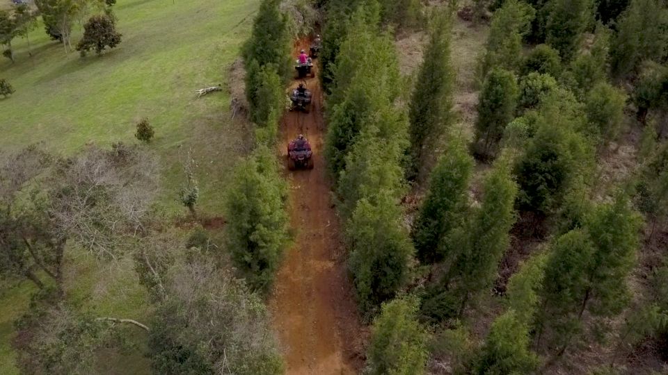 From Medellin: Stunning Atv - Experience Highlights