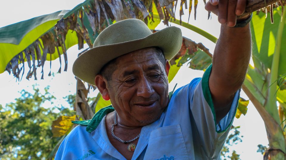 From Mérida: Farming, Cenote, and Ek Balam Pyramids Tour - Activities Overview