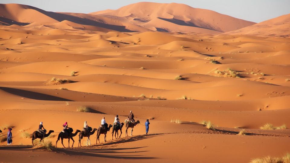 From Merzouga: Highlights of Morocco 8-Day Tour - Inclusions and Booking Details