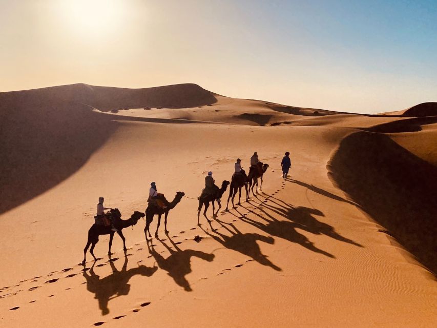 From Merzouga: Overnight Camel Trek Over Erg Chebbi Dunes - Activity Highlights