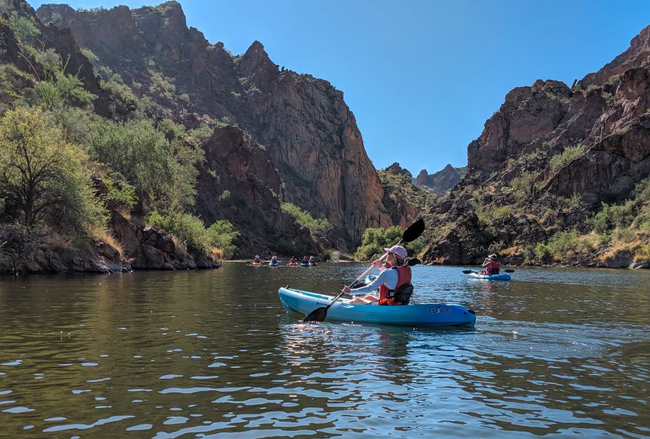 From Mesa: Self-Guided Kayaking Trip on Saguaro Lake - Experience Highlights