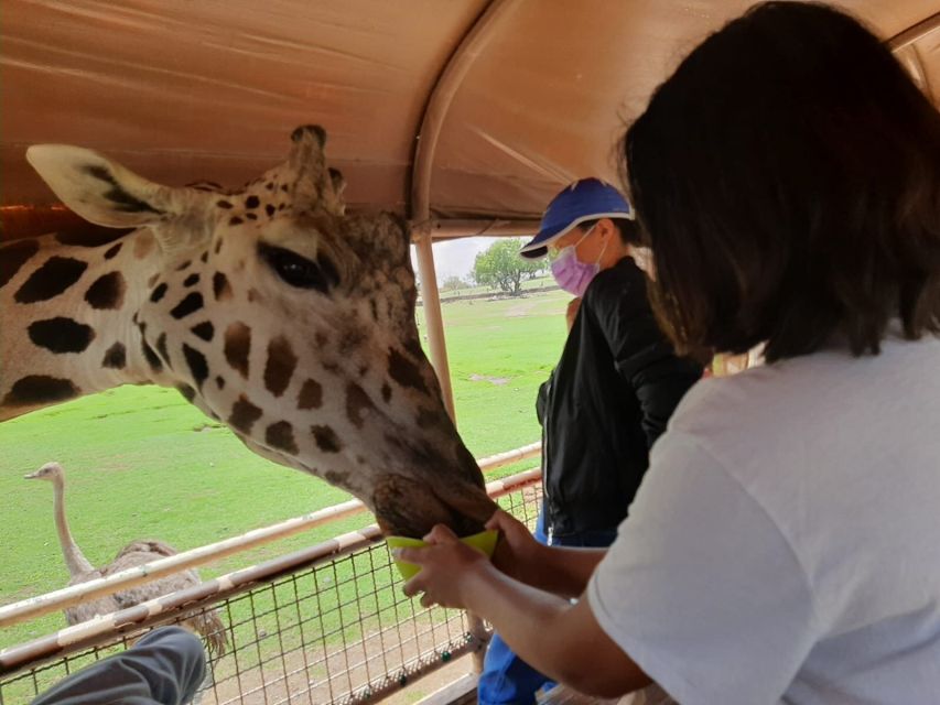 From Mexico City: Teotihuacan Tour & Reino Animal For Kids - Booking Details