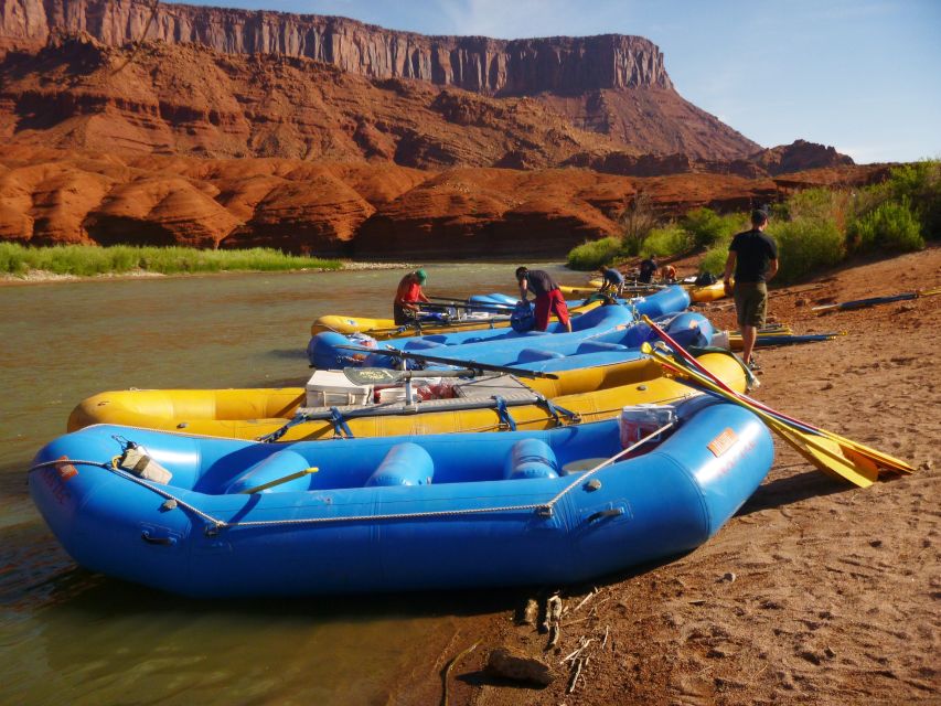 From Moab: Colorado River Half-Day Rafting Trip - Experience Highlights