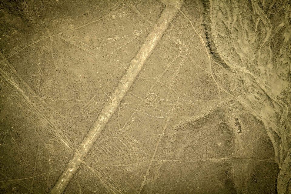 From Nazca: Nazca Lines Flight - Booking Information