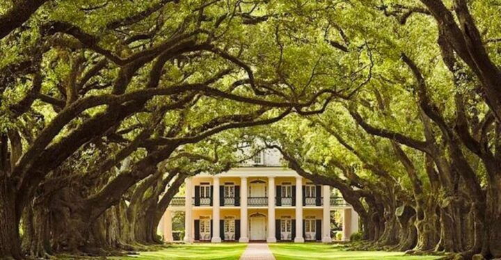 From New Orleans: Oak Alley or Laura Plantation Tour - Booking Information