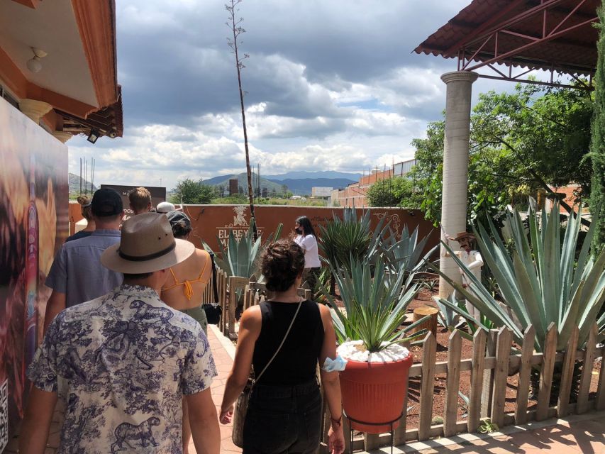 From Oaxaca: Natural and Cultural Highlights Guided Day Tour - Petrified Waterfalls at Hierve El Agua