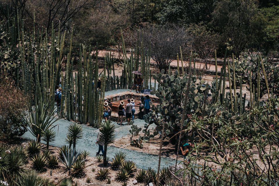 From Oaxaca : Walking Tour - Markets, Textile Museum & Lunch - Experience Highlights