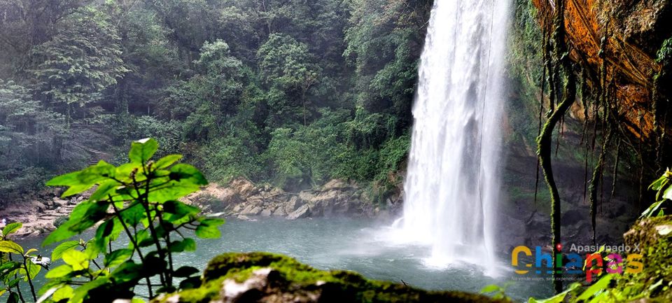 From Ocosingo: Agua Azul and Misol-ha Private Tour - Tour Experience