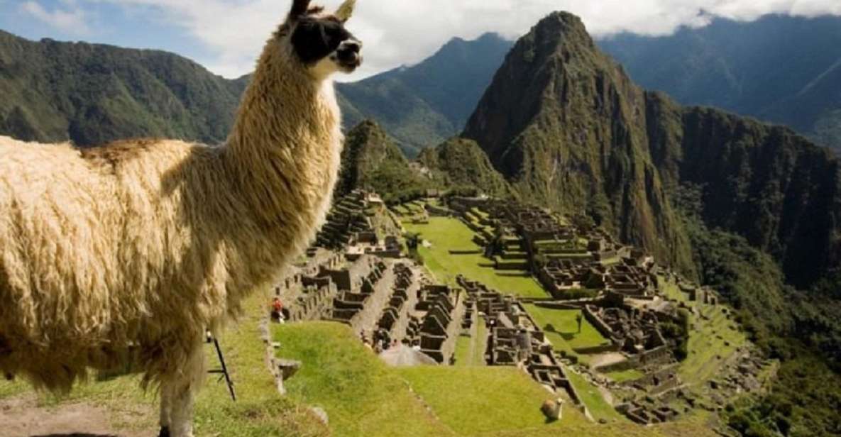 From Ollantaytambo: 2-day Machu Picchu Tour - Activity Details