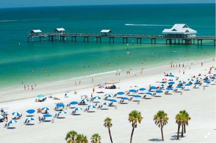 From Orlando: Clearwater Beach and Marine Aquarium Admission - Experience Highlights