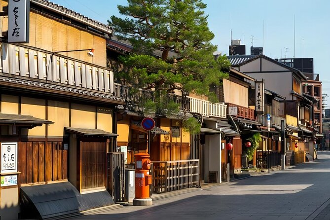 From Osaka: 10-hour Private Custom Tour to Kyoto - Customization Options