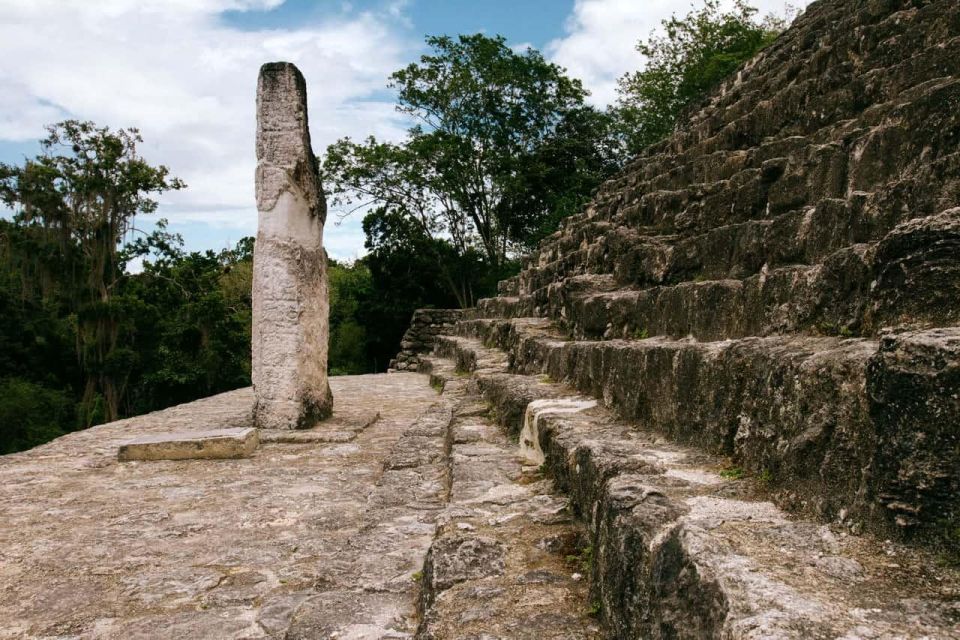 From Palenque: Calakmul Archaeological Zone - Flora and Fauna Exploration