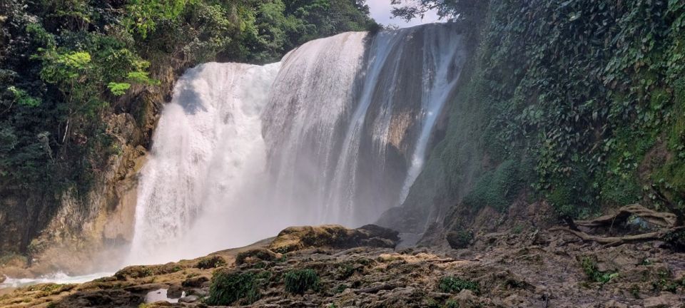 From Palenque: Roberto Barrios and El Salto Waterfalls Tour - Booking Details