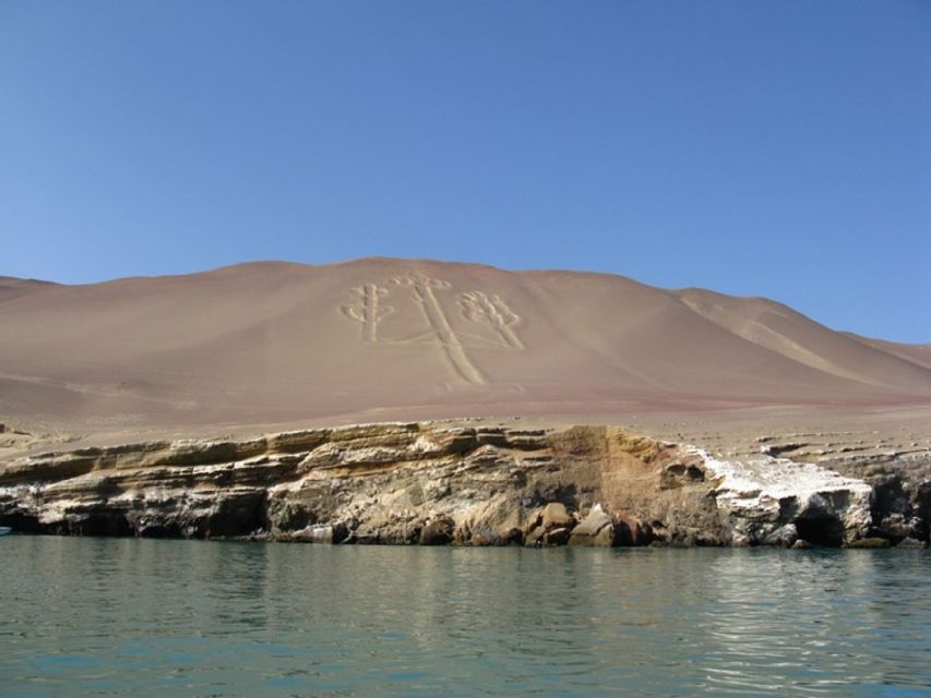 From Paracas: Ballestas Islands Boat Ride Tour - Experience Highlights