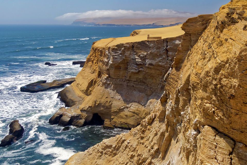 From Paracas: Ballestas Islands & Paracas National Reserve - Experience Highlights