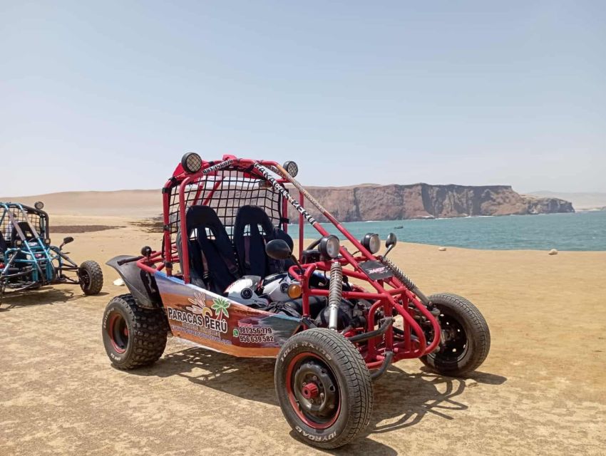 From Paracas Buggy Ride in the Southern Paracas Desert - Experience Highlights