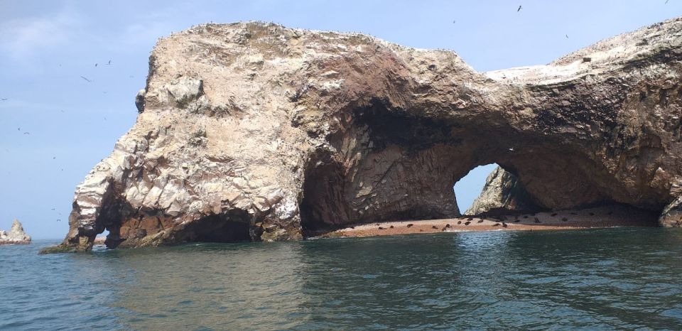 From Paracas or Pisco: Ballestas Islands Private Boat Trip - Experience Highlights