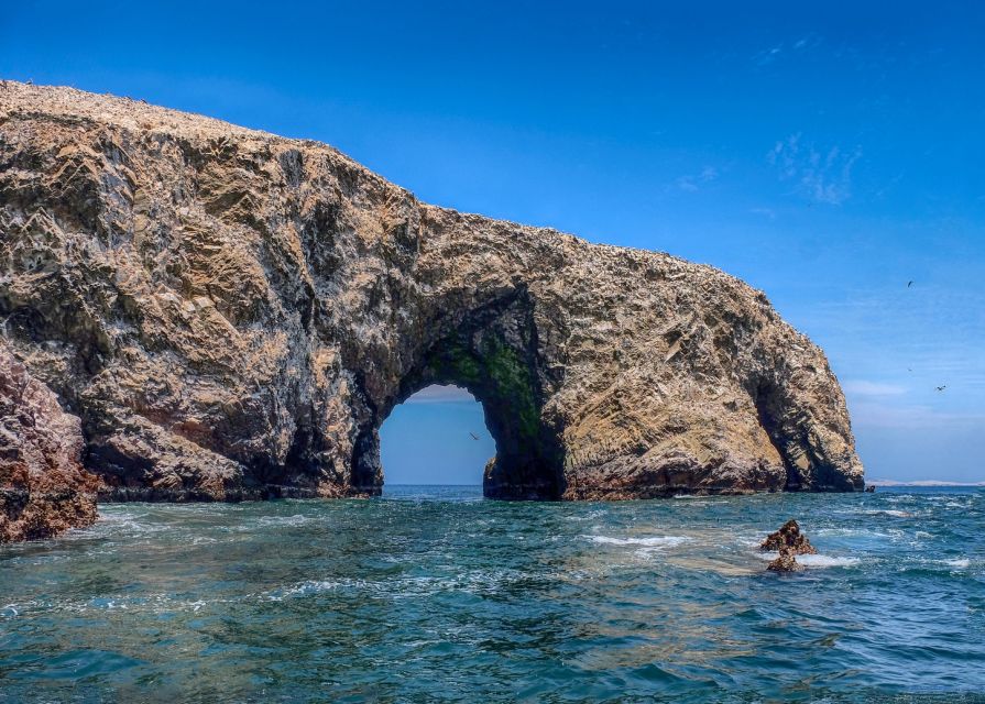 From Paracas: Scenic Boat Tour to Ballestas Island - Experience Highlights