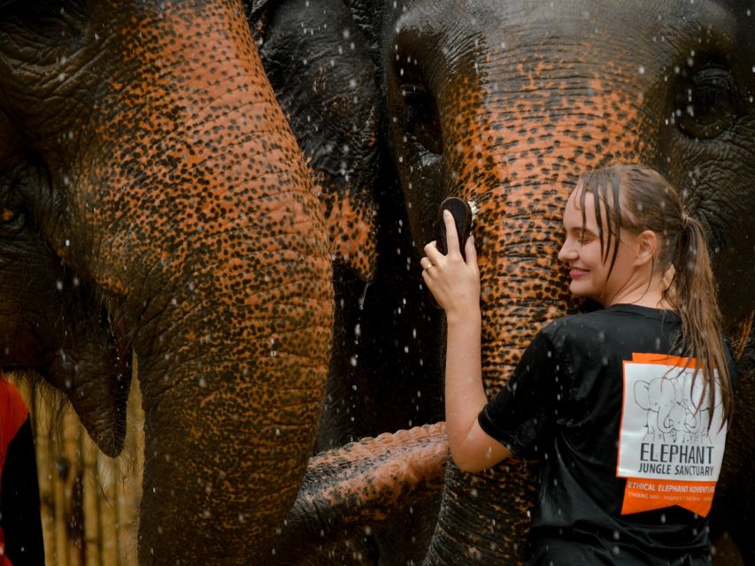 From Phuket: Elephant Jungle Sanctuary Feed and Shower Trip - Experience Highlights
