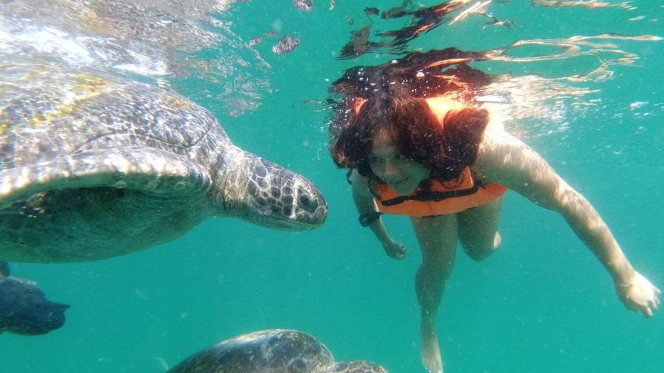 From Piura Excursion to Mancora Swimming With Turtles - Itinerary