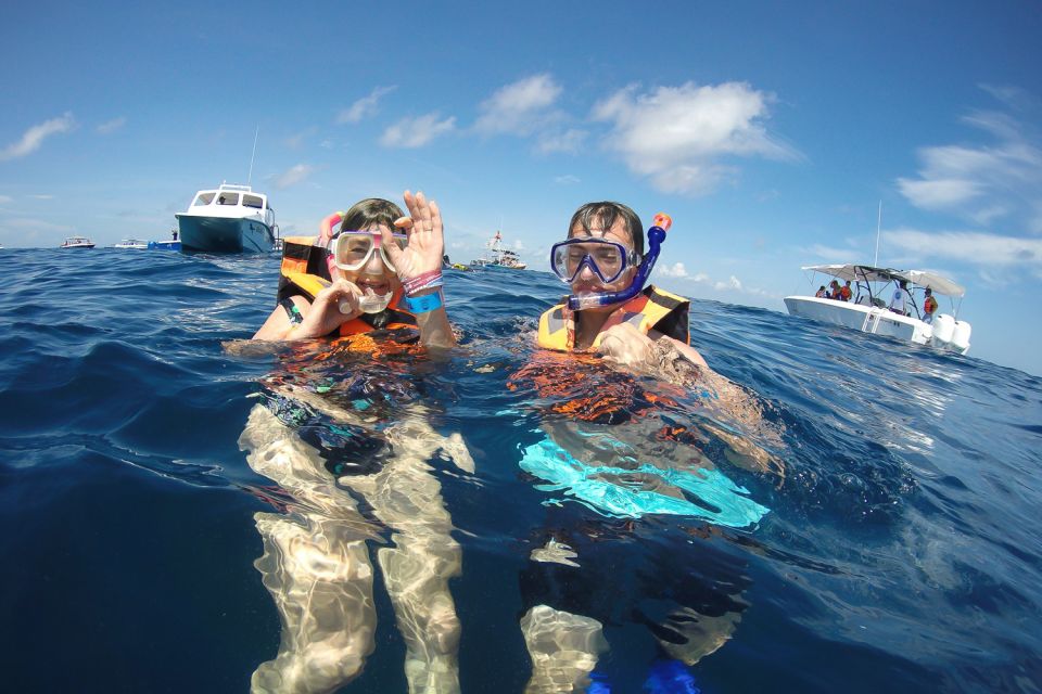 From Playa Del Carmen: Whale Shark Tour - Experience Highlights