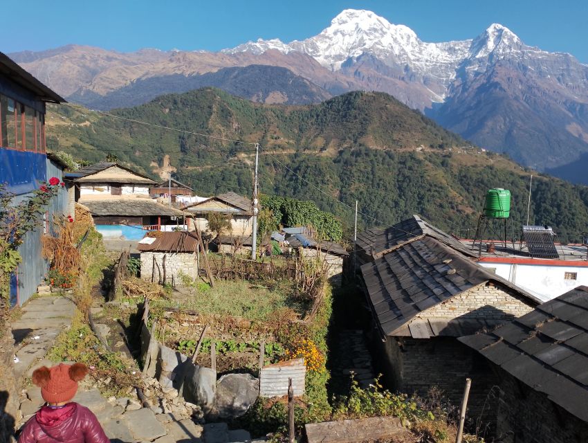 From Pokhara: 5 Day Annapurna Base Camp Trek - Itinerary Details