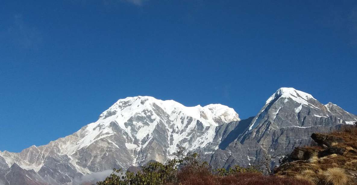From Pokhara: 7-Day Mardi Himal Base Camp Trek - Experience Highlights of the Trek