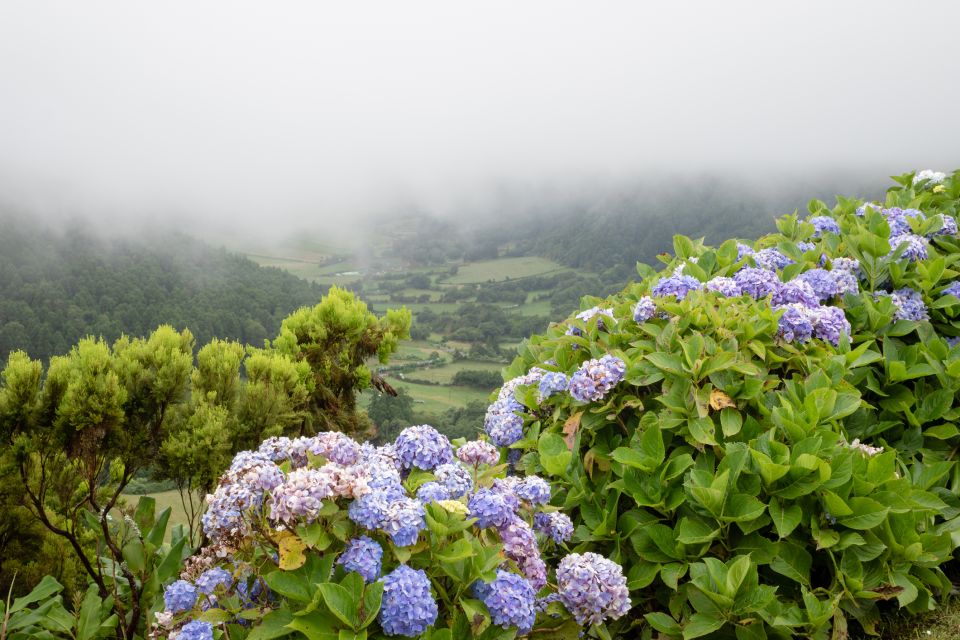 From Ponta Delgada: Vista Do Rei to Sete Cidades Guided Trek - Experience