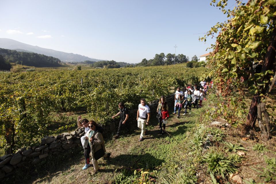 From Porto: Monção Wineries Tour With Wine Tastings - Booking Options and Accessibility