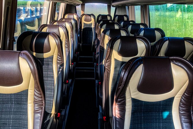 From Prague to Passau - Private Transfer by MINIBUS Mercedes Sprinter 191pax - Accessibility and Luggage