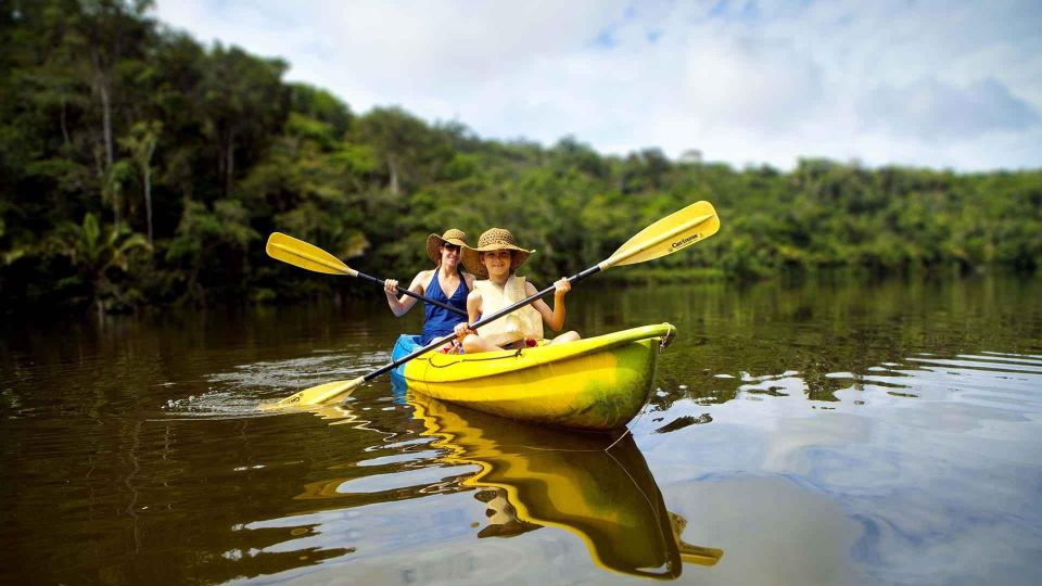 From Puerto Maldonado Kayak Tour Monkey Island for 1 Day - Activity Highlights