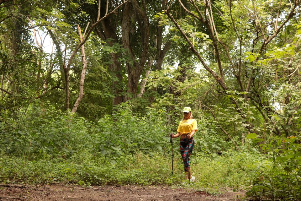 From Puerto Vallarta: 2-Hour Guided Sierra Vallejo Hike - Experience Highlights