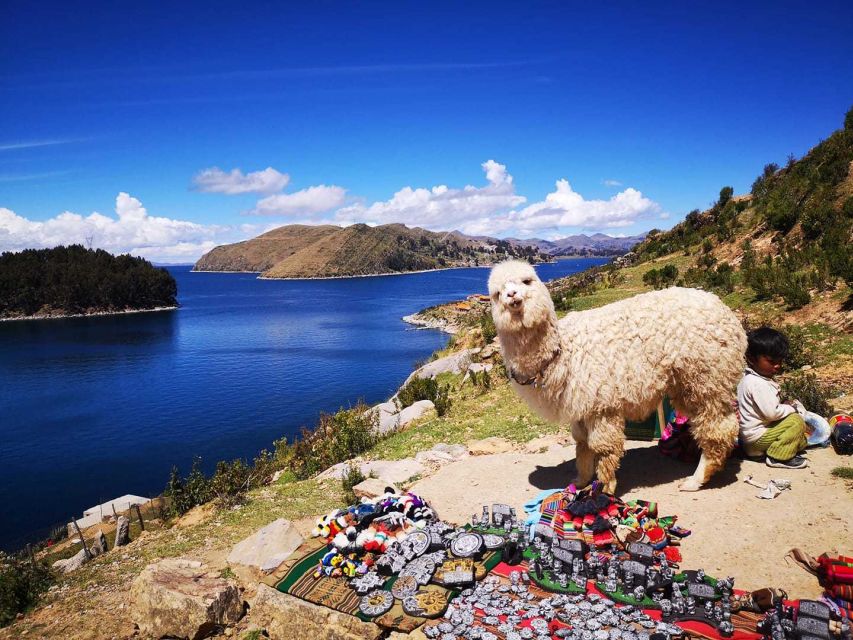 From Puno: Sun Island and Copacabana 1-Day Tour - Experience Highlights