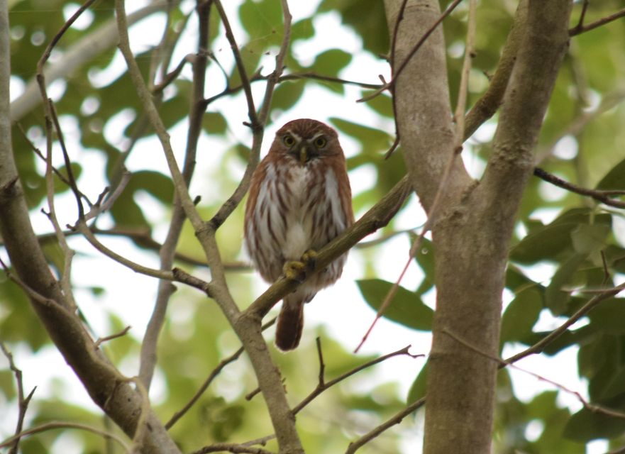 From Riviera Maya : Sian Ka'an Muyil Birdwatching With Guide - Location Details