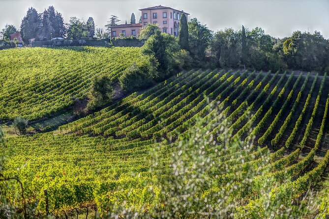 From Rome: San Gimignano, Siena, Chianti Winery Visit and Lunch - Itinerary Highlights