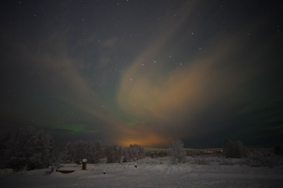 From Rovaniemi: Aurora Dreamscape Tour in the Wild - Experience Highlights