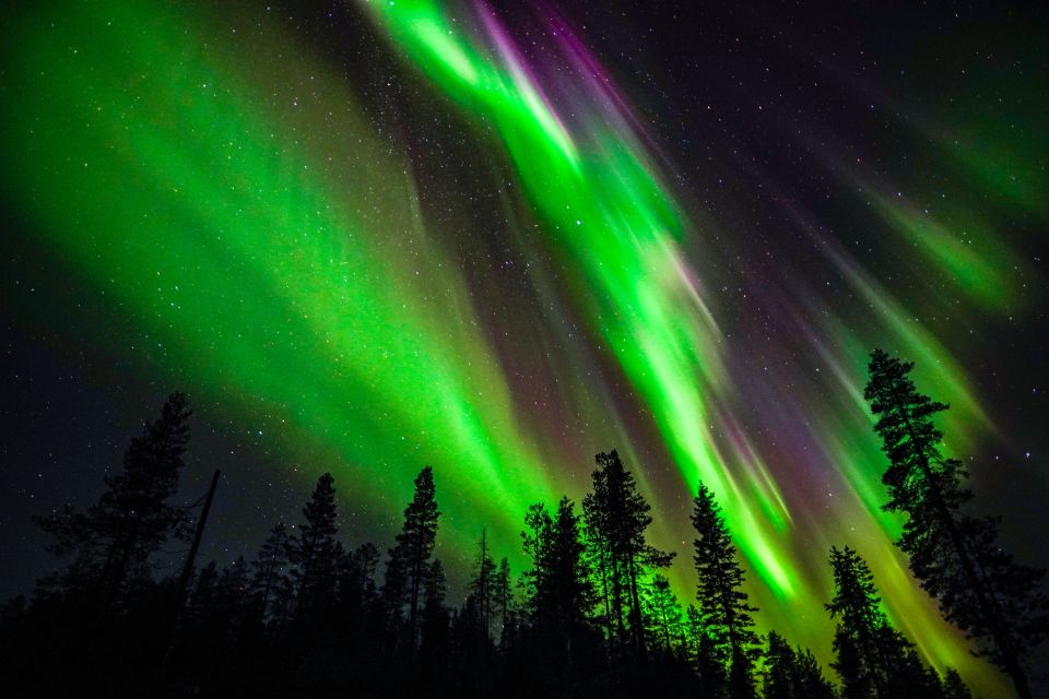 From Rovaniemi: Family-Friendly Northern Lights Tour - Experience Highlights