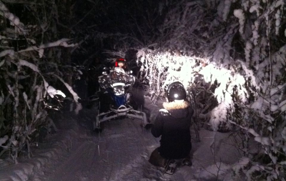 From Rovaniemi: Night Snowmobile Safari - Booking Information