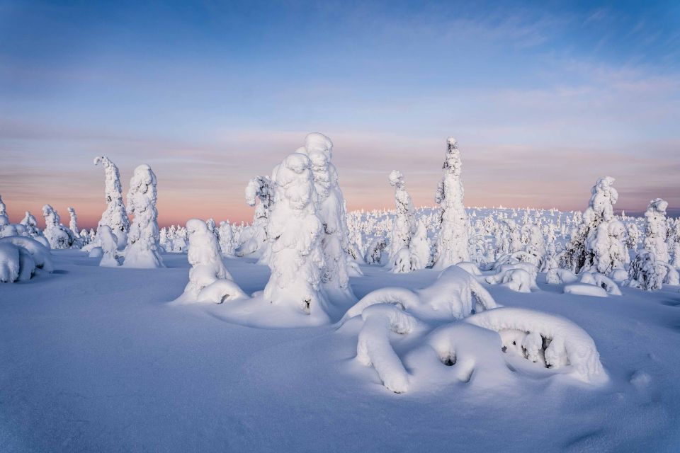 From Rovaniemi: Riisitunturi Full-Day Wilderness Adventure - Experience Highlights