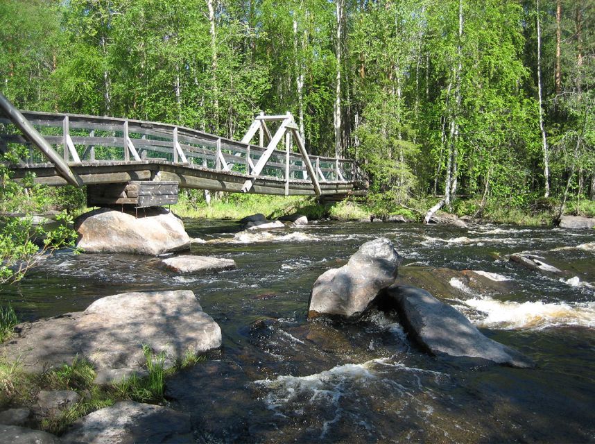 From Rovaniemi: Vikaköngäs Forest Hiking Tour With BBQ - Experience Highlights