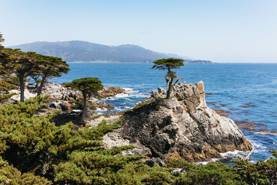 From San Francisco: Monterey and Carmel Day Tour - Cancellation and Booking Information